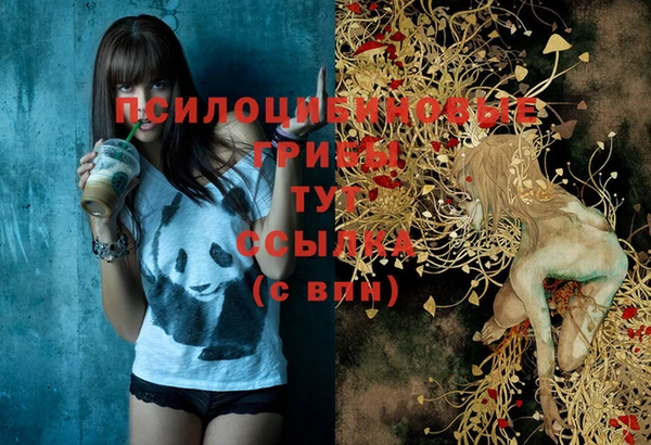 молекула духа Абинск
