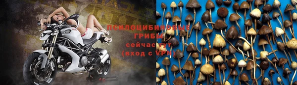 молекула духа Абинск